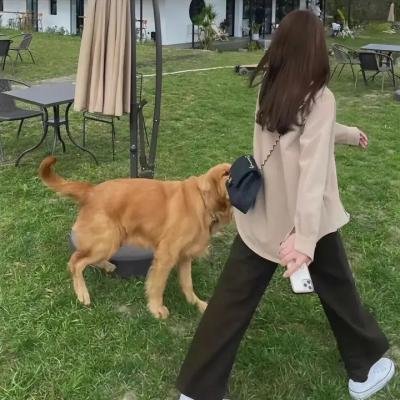 空房间里的女人